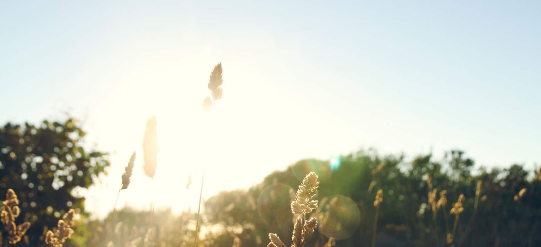 PROSOCO-Green-Building