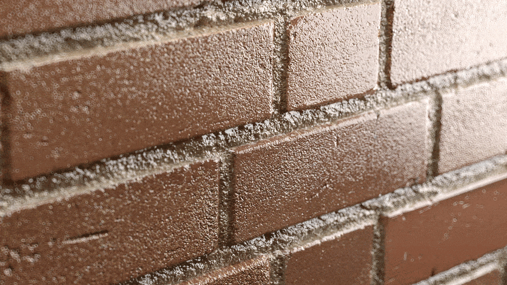 Moisture coming to the surface of the surface of masonry sealed with a film-forming sealer.