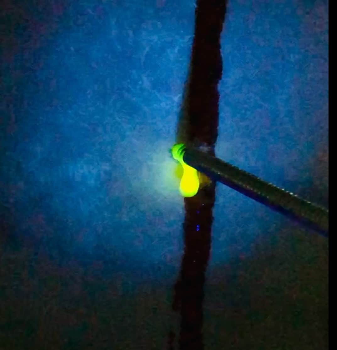 Figure 18.
Water with fluorescein dye coming through and around the fastener using a black light to illuminate the dye. The rilem tube was filled up to the top and it ran out the backside of the sheathing as quick as we poured it into the tube indicating significant air/water leakage would occur.
