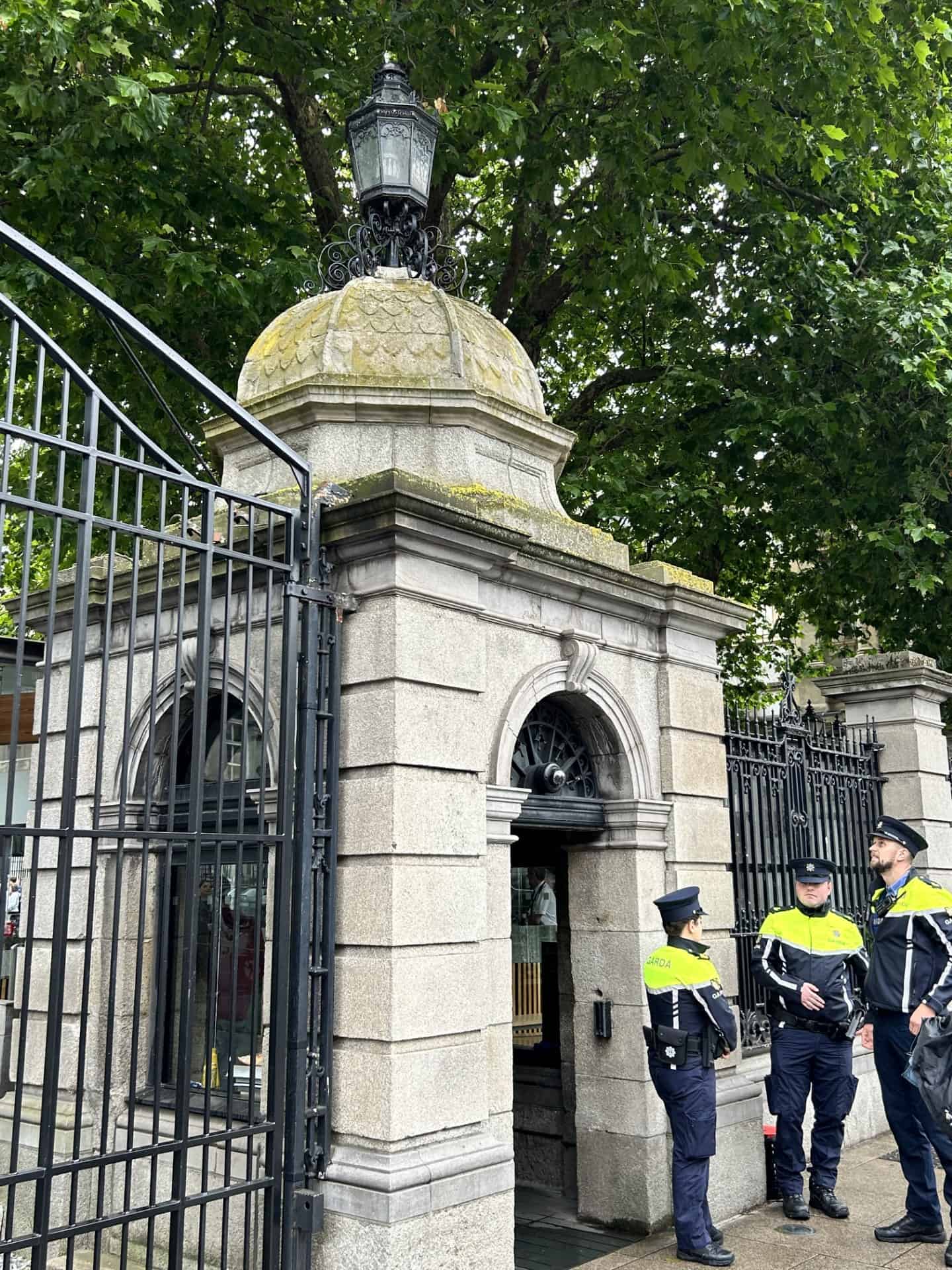 Biological staining atop the cupola affronting the primary entrance to Leinster House. photo courtesy Shea McEnerney