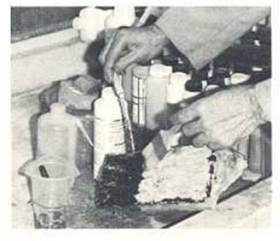 From the Archives (1982 issue of PROSOCO News) - Randolph Towers restoration