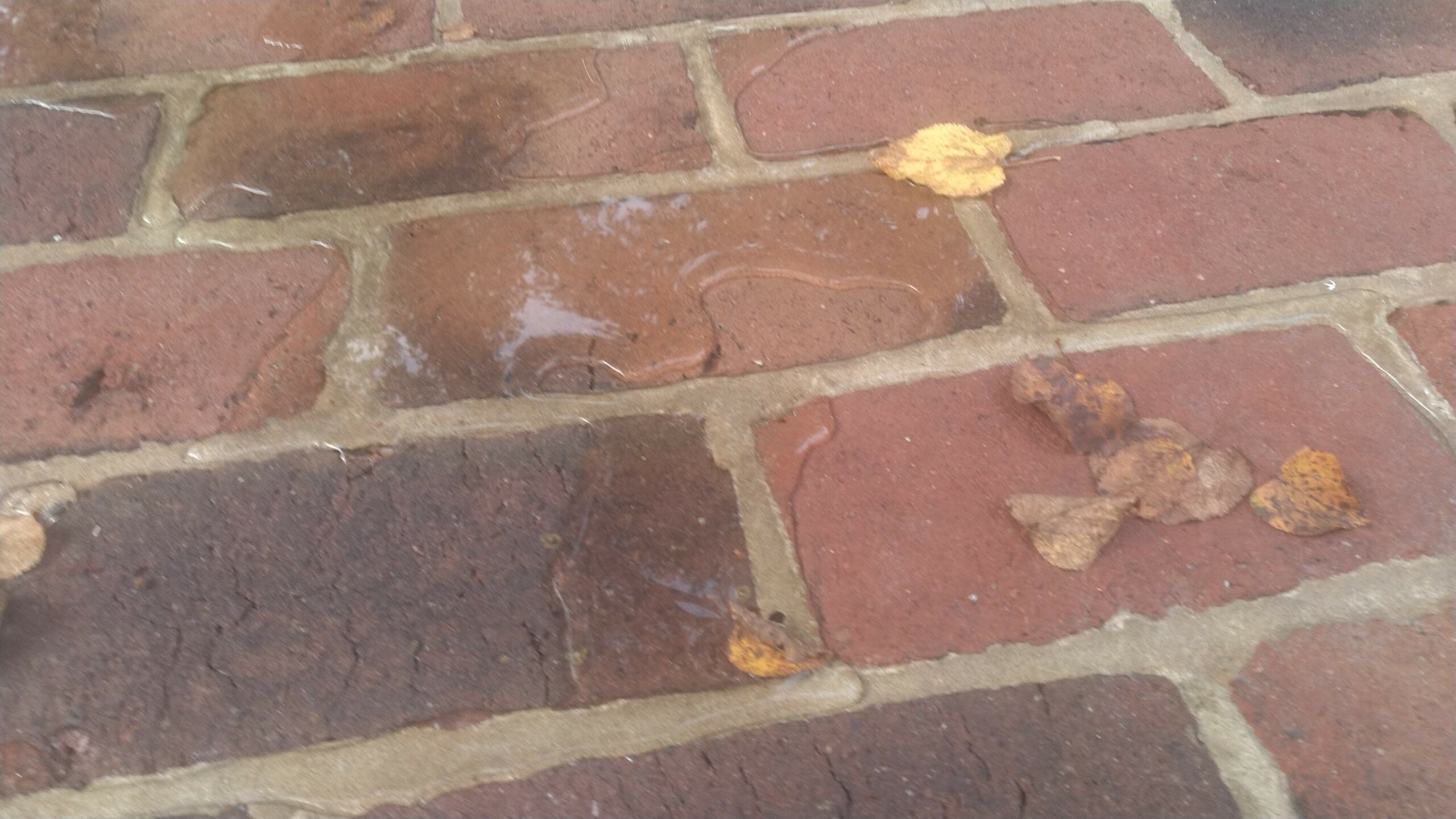 water beading on brick