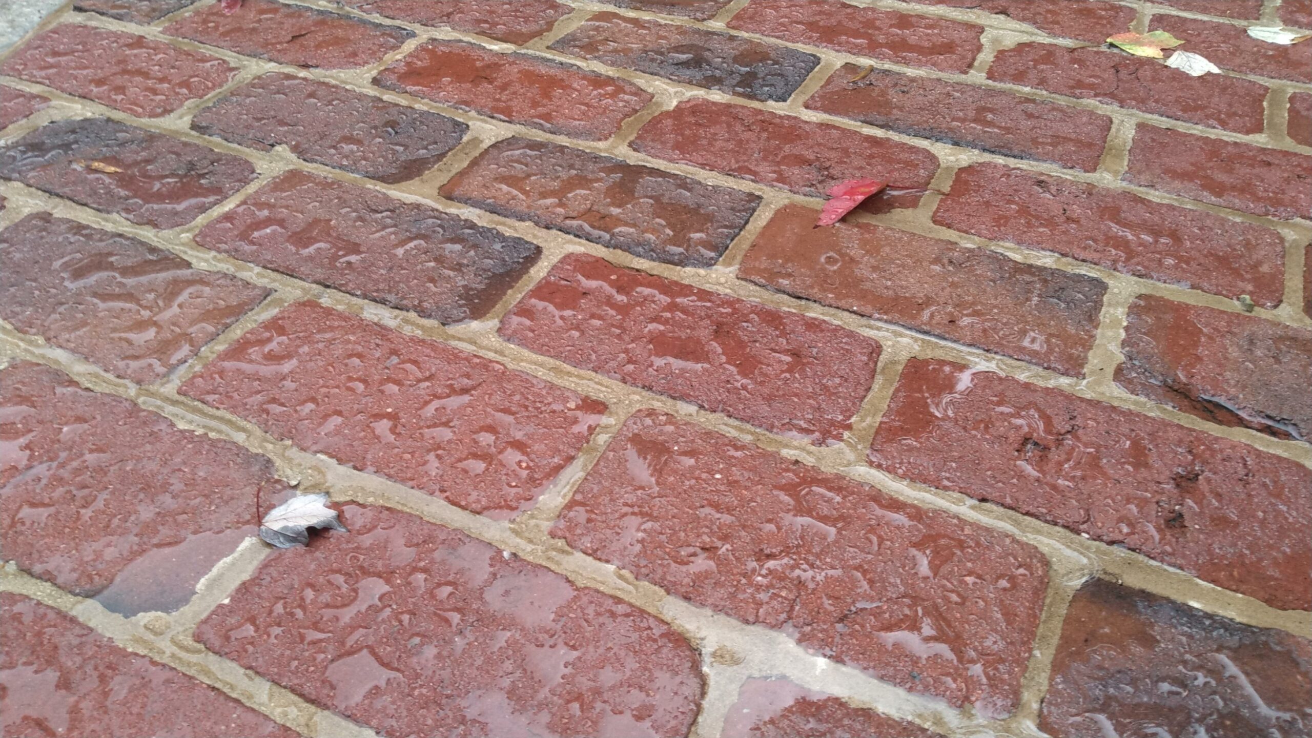 water beading on brick