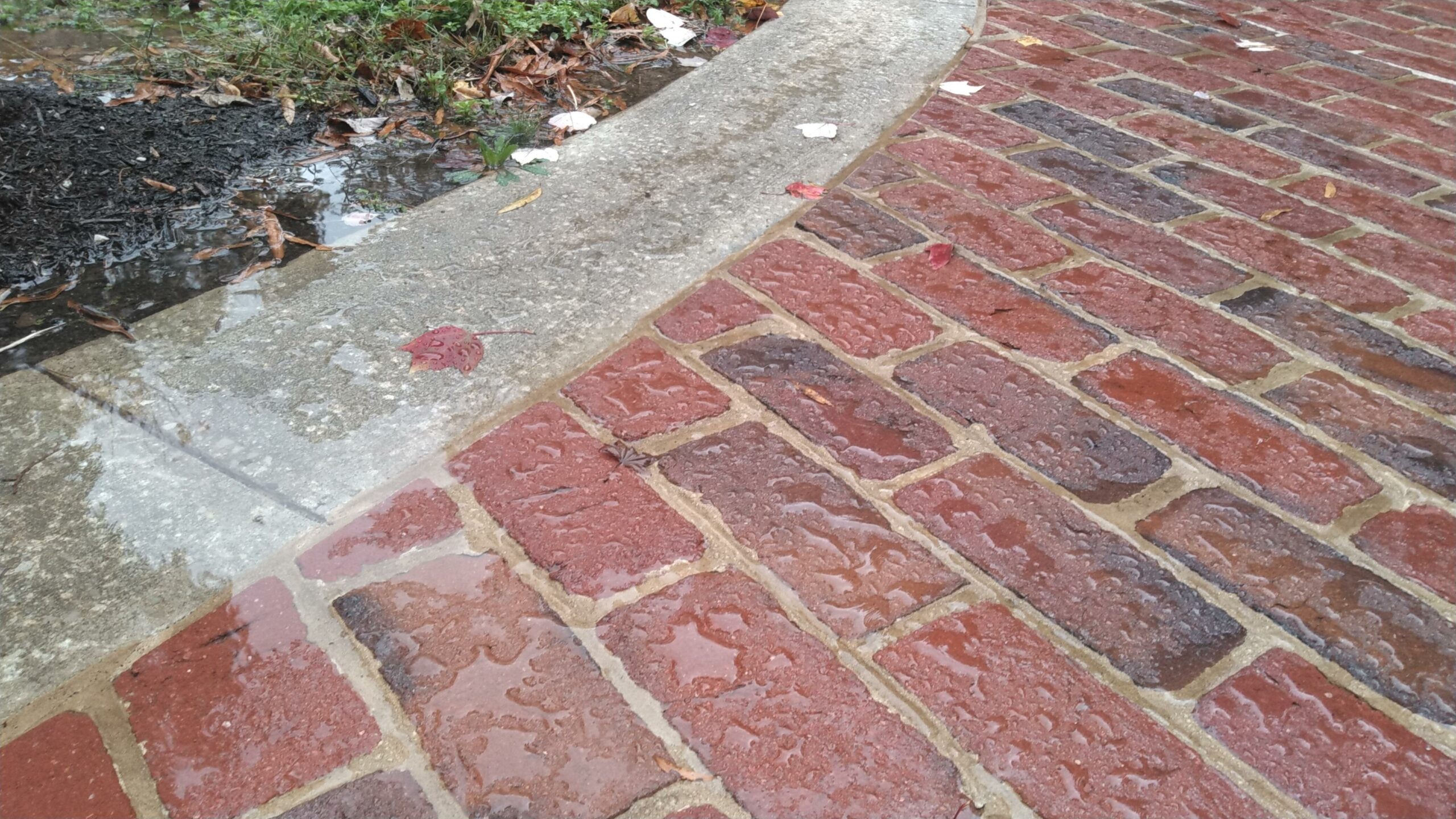 water beading on brick