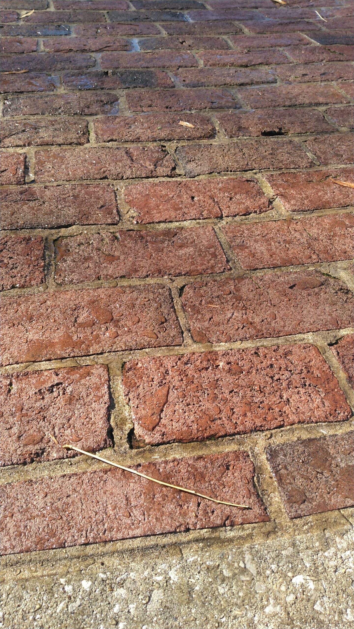 water beading on brick surface