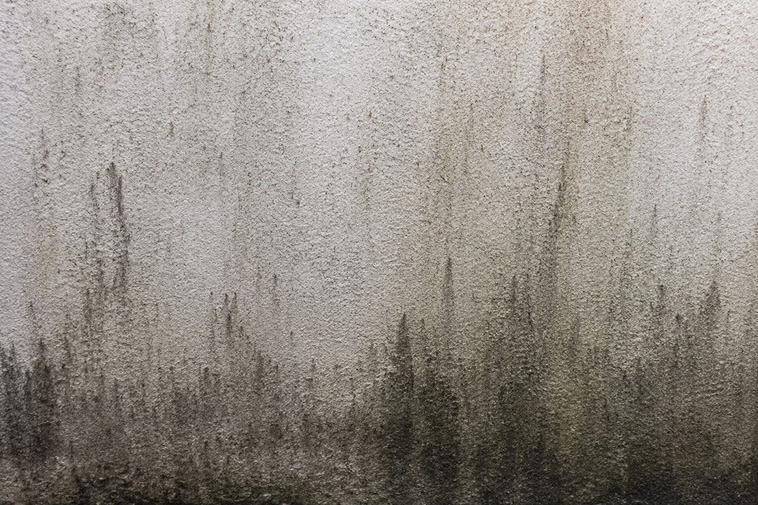 Close-up of mildew and dark staining on a textured stucco exterior wall caused by moisture buildup.